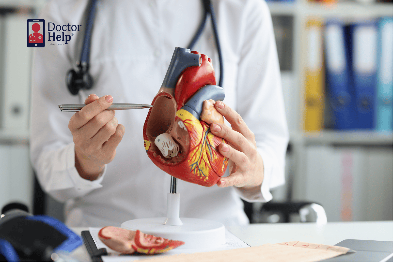 Cardiologist